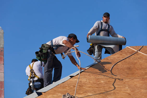 Best Storm Damage Roof Repair  in East Chicago, IN